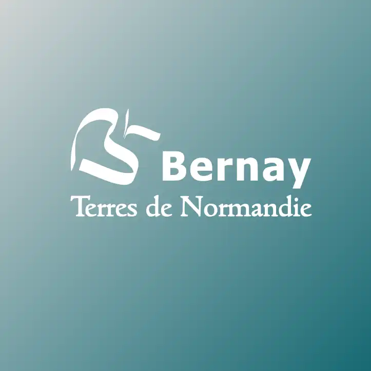 logo bernay